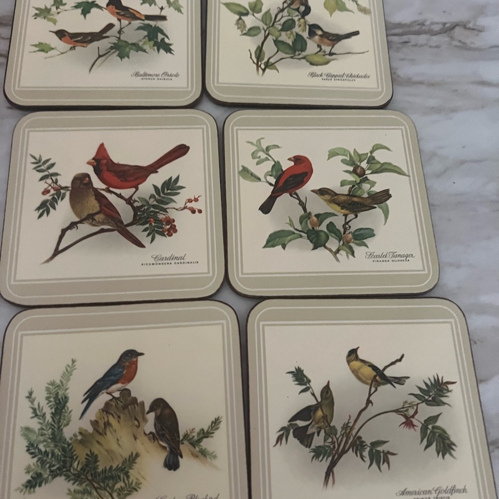 Pimpernel Acrylic Coasters Set